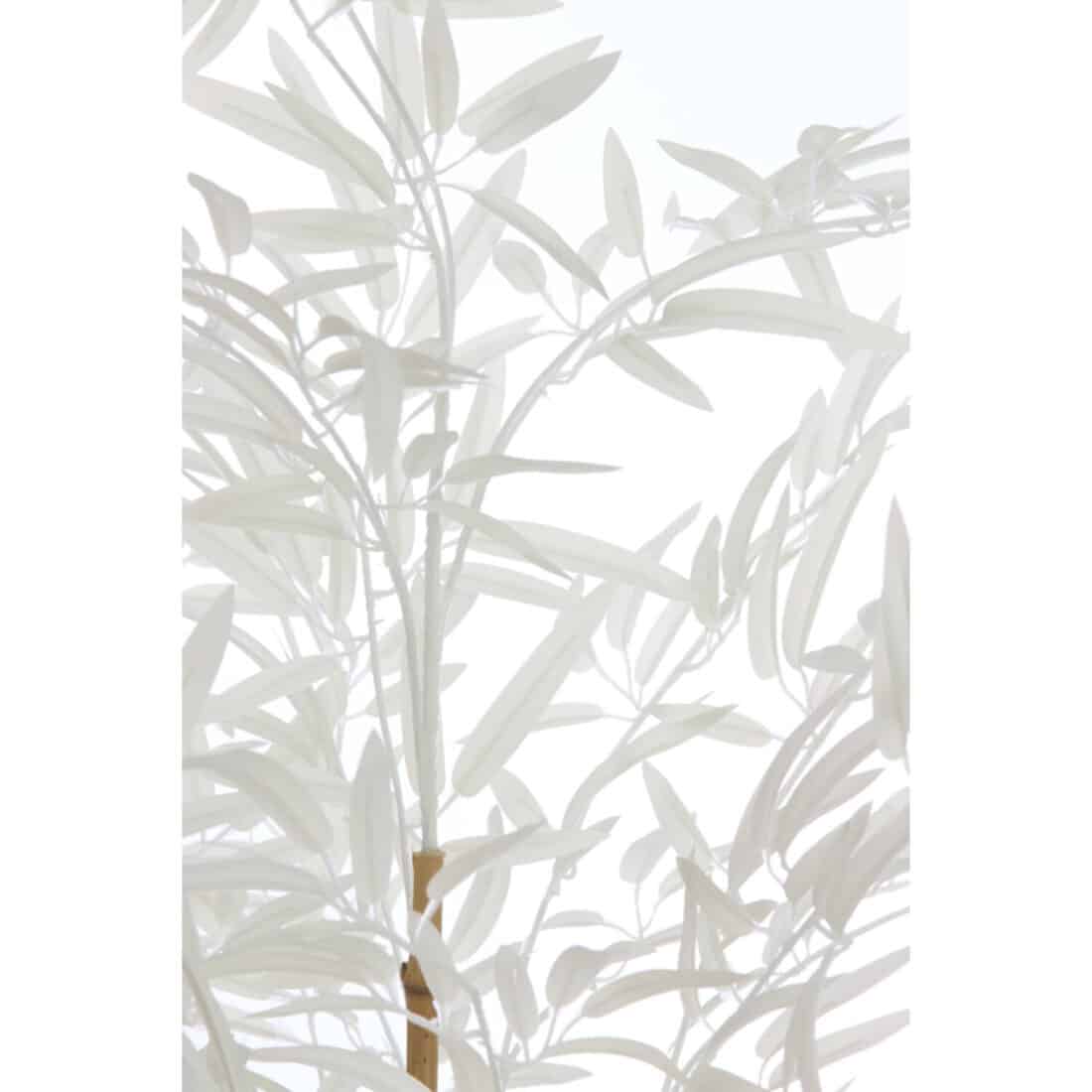 Light Amp Living Ornament In Pot 60x70x90 Cm Bamboo Naturel Crme