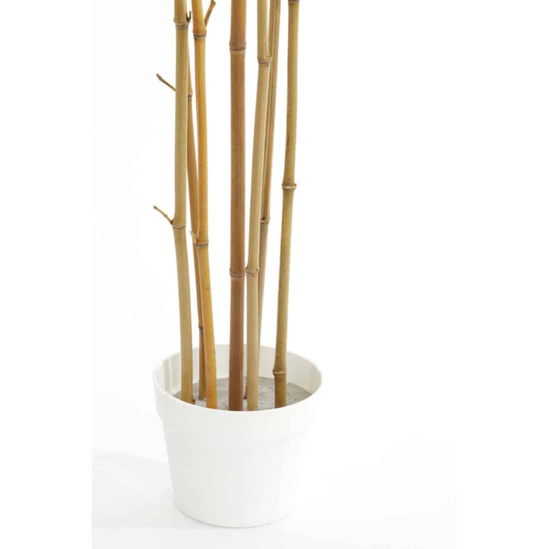 Light Amp Living Ornament In Pot 60x70x180 Cm Bamboo Naturel Crme