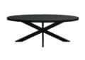 Livingfurn Eetkamertafels Kala Oval Spider 210 cm