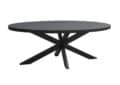 Livingfurn Eetkamertafels Kala Oval Spider 180 cm