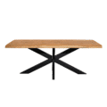 Starfurn Boomstamtafel Denver | 160 cm