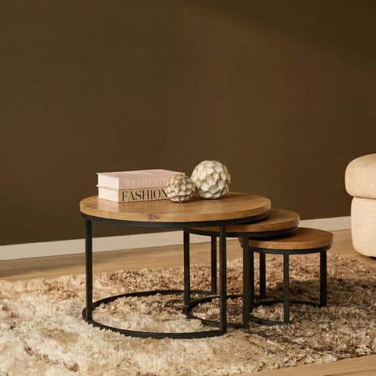 Starfurn Salontafel set Dakota Naturel Mangohout 70 cm