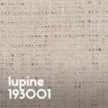 Lupine 193001