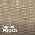 Lupine 193005