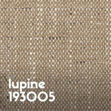 Lupine 193005