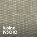 Lupine 193010