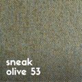 Sneak Olive 53