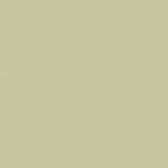 0U817 Lichen Green 0U817 Lichen Green