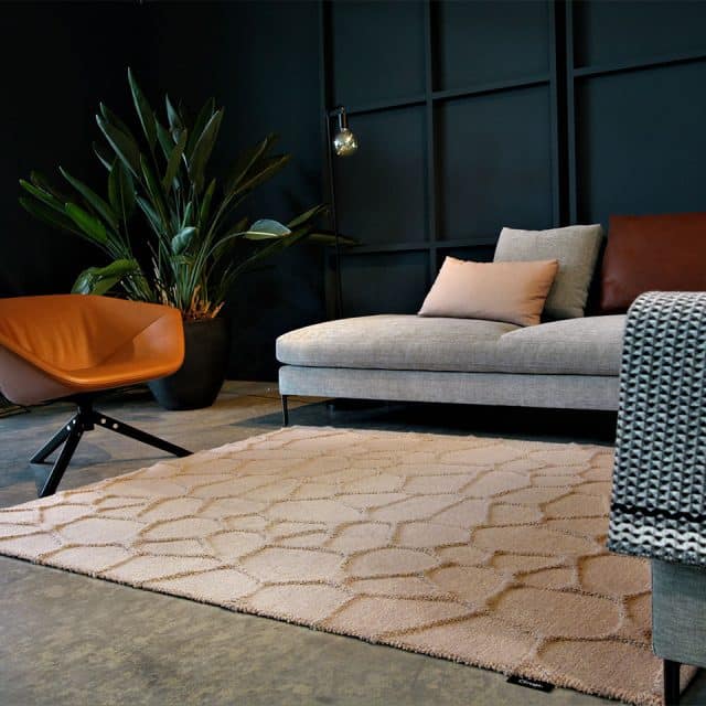 Cs Rugs Surfaces 3d