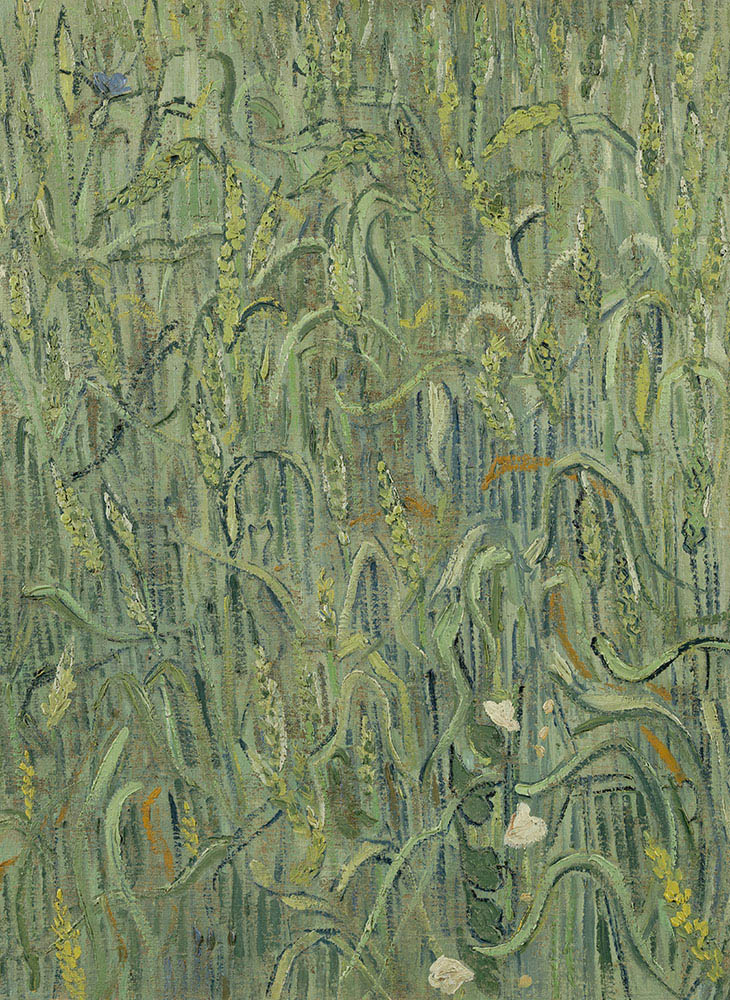 Wall masters Van Gogh ears of corn