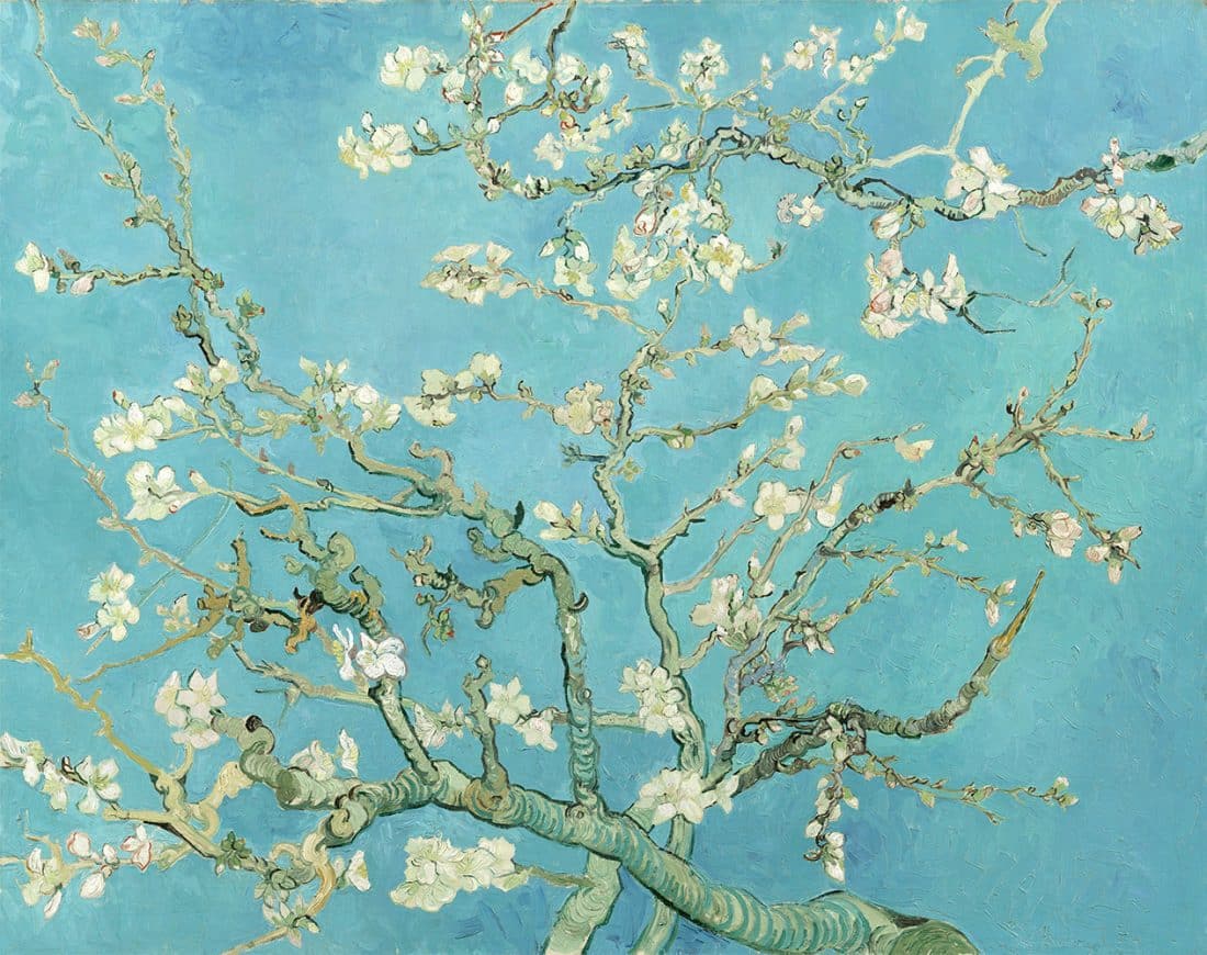Gogh Vincent Van Amandelbloesem Origineel Bw 1