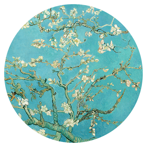Van Gogh's Blossom 2
