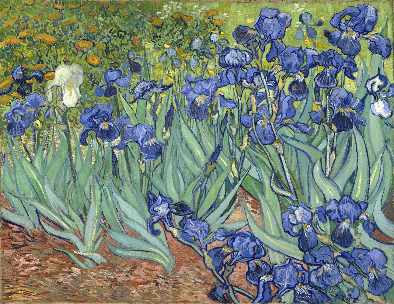 Wall masters Gogh Van Irises