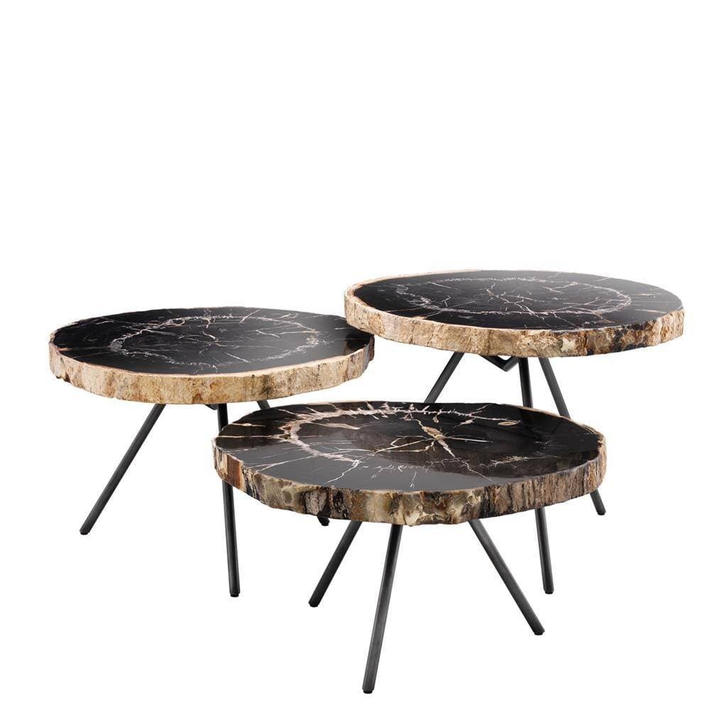 New Khine Petrified wood coffee table black SV3 Gratis bezorgen