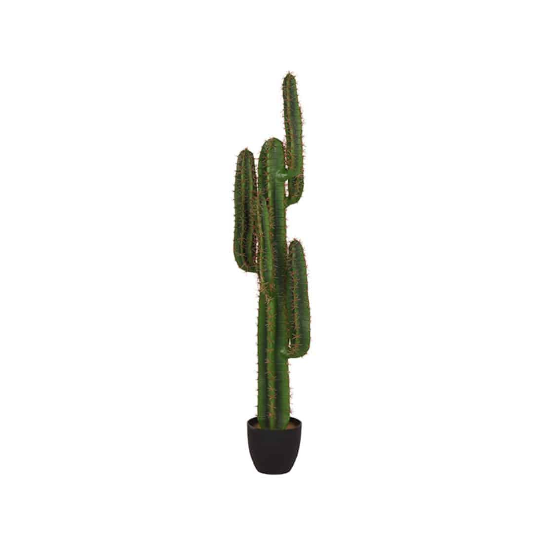Cactus 8211 Groen 8211 Kunststof 8211 130 Cm 8211 Rhb Home Amp Living