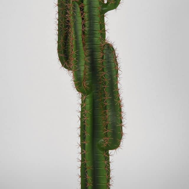 Cactus 8211 Groen 8211 Kunststof 8211 130 Cm 8211 Rhb Home Amp Living