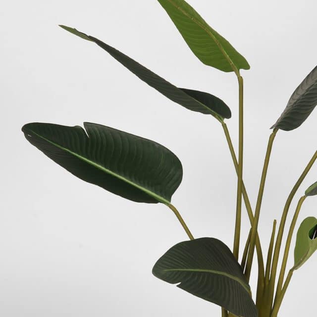 Strelitzia 8211 Groen 8211 Kunststof 8211 100 Cm 8211 Rhb Home Amp Living
