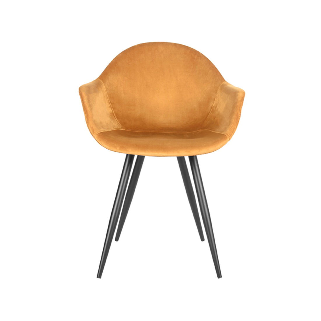 Trp Post Container Data Trp Post Id 16511 Dining Chair Forli 8211 Ocker 8211 Samt 8211 Label51 8211 Rhb Home Amp Living Trp Post Container Trp Post Container Data Trp Post Id 16511 Dining Chair Forli 8211 Ocker 8211 Samt 8211 Label51 8211 Rhb Home Amp Living Trp Post Container