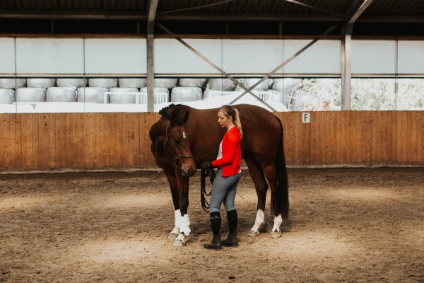 Drie Belangrijke Dingen Om Te Onthouden Als Je Met Je Paard Aan Het Werk Bent