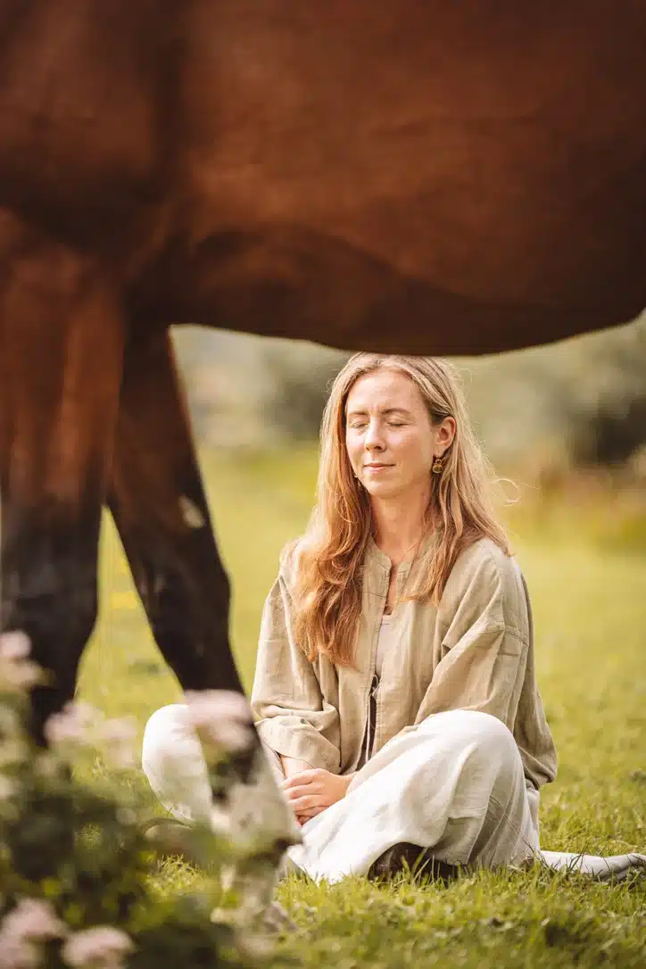 Gratis Meditatie