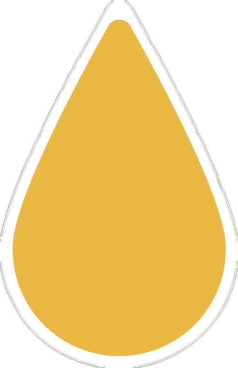 Yellow drop | Upfall shower