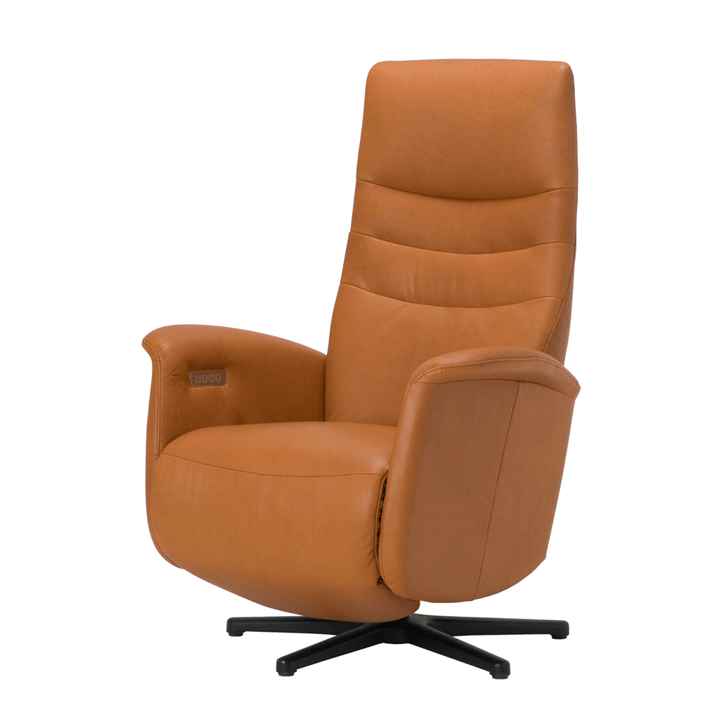 Relaxfauteuil New Fabulous Five F3 2002