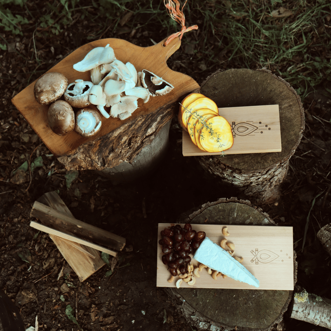 Cuisiner avec le pouvoir de la nature