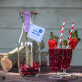 Tafelwasser Kirsche Cranberry Rosmarin Pineut