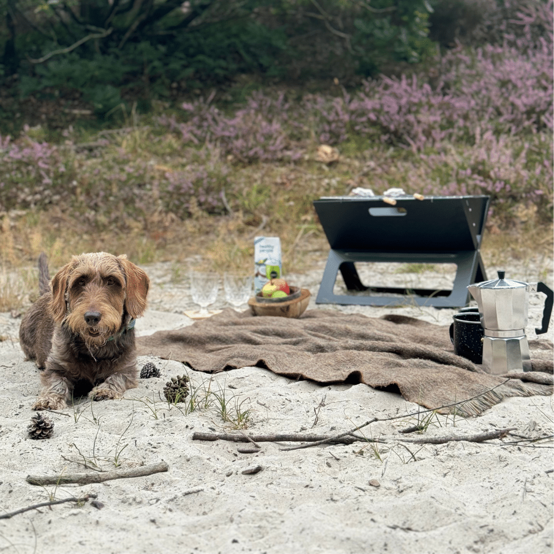 BBQ opvouwbaar draagbaar zwart percolator zilver mok zwart