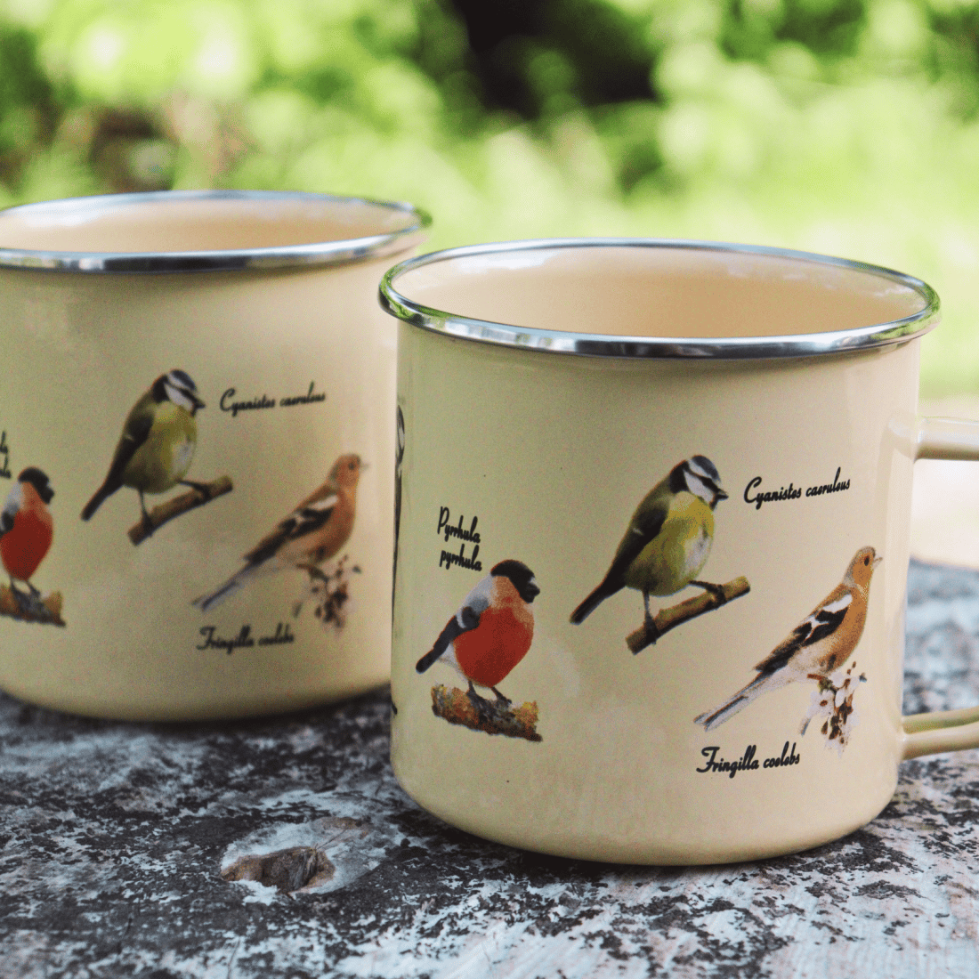 Taza esmaltada con estampado de pájaros