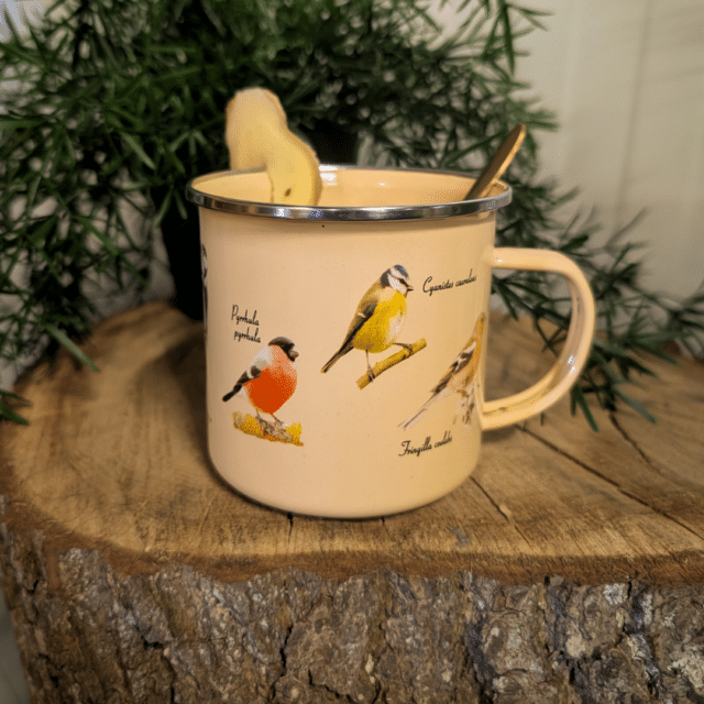 Shop hier jouw nieuwe emaille vogelmok!