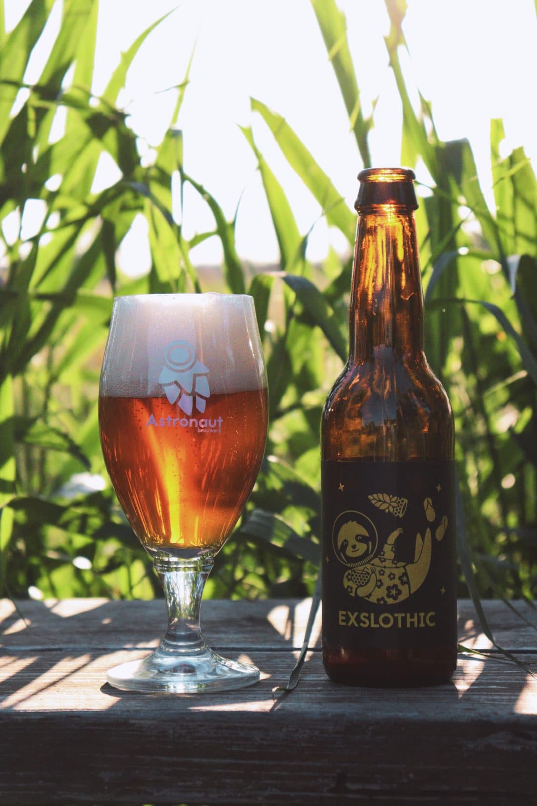Celebrate summer with a nice blonde Exslothic beer