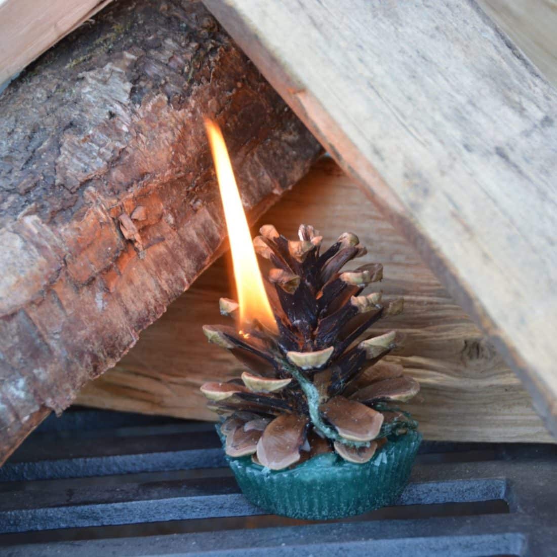 Pinecone firelighter