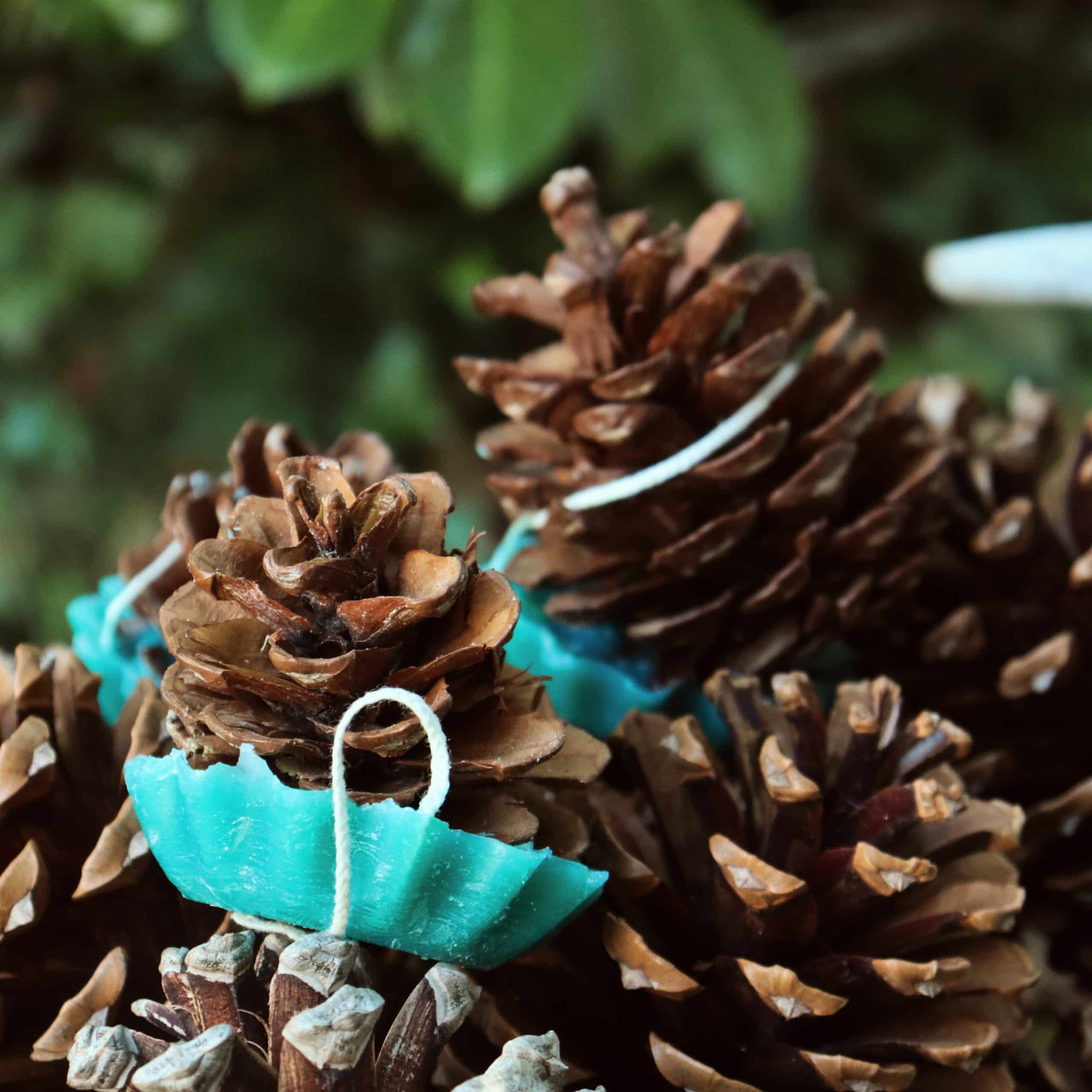 Pine cone firelighters 10 pieces order It VUUR LAB.®