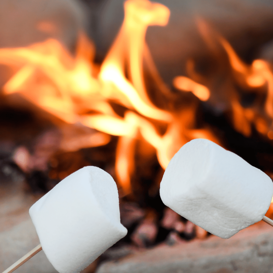 Marshmallows roasting campfire