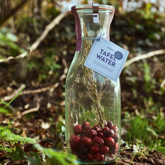 Agua de mesa Cranberry herbal Pineut