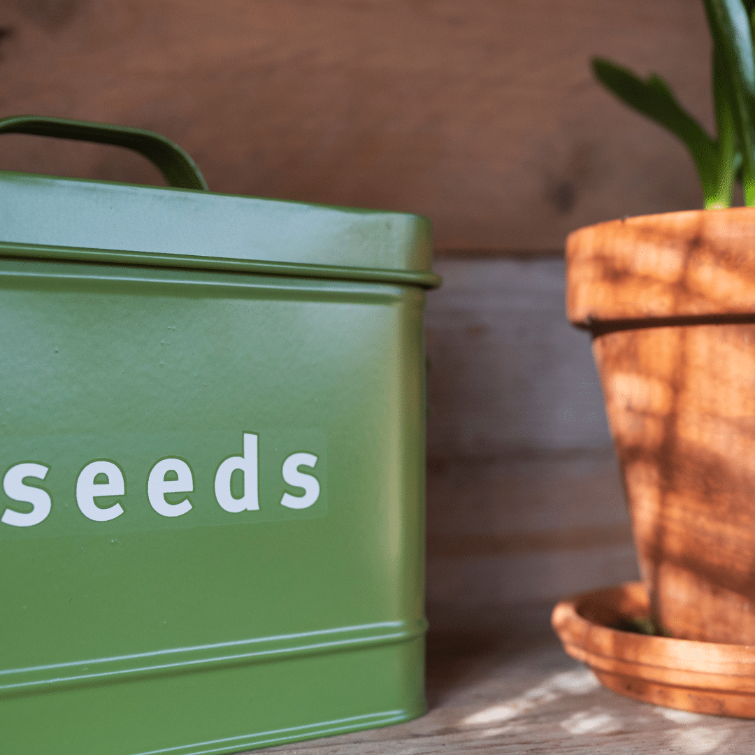 Caja para semillas diseño Esschert