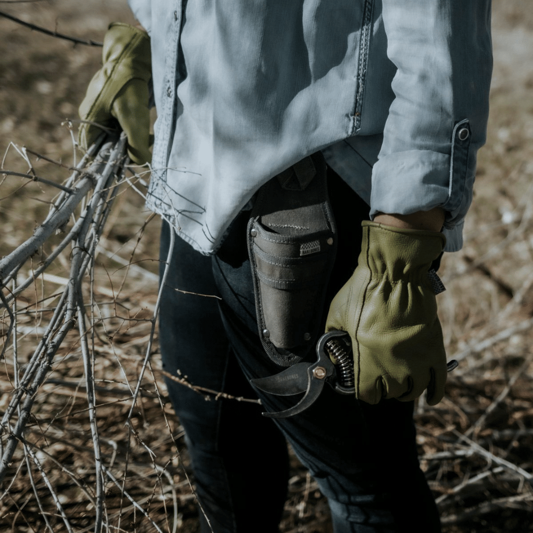 Barebones pruning shears and green gloves