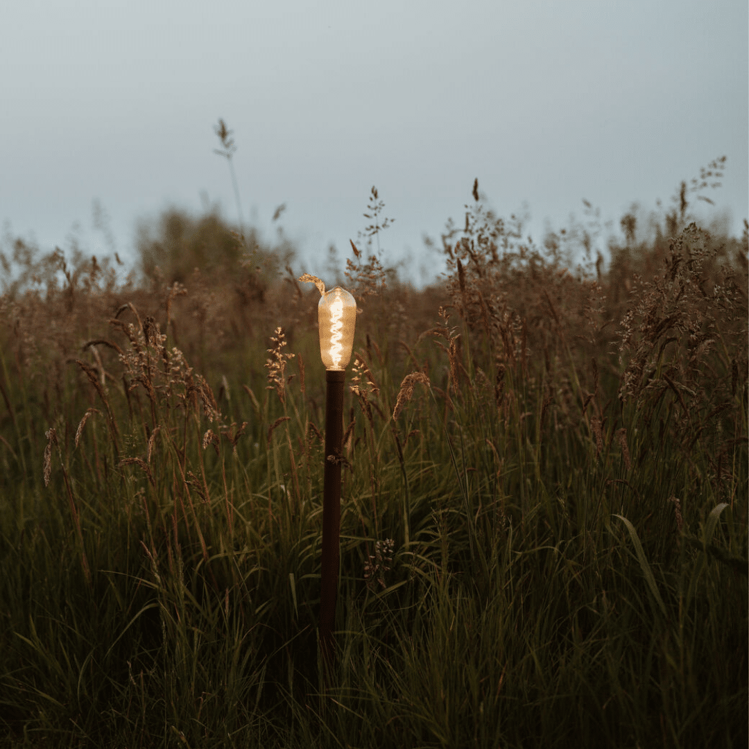 Sticklight Weltevree i gräset