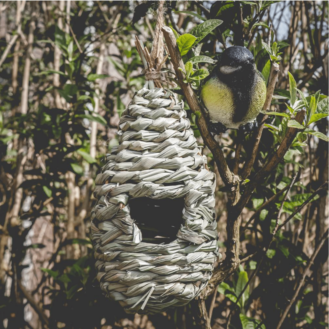Casa para pájaros Eco Friendly
