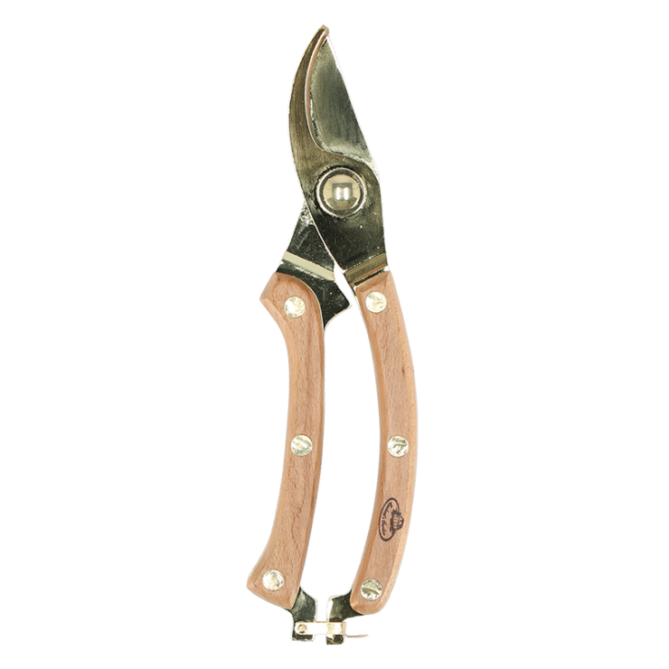 Gold-plated pruning shears