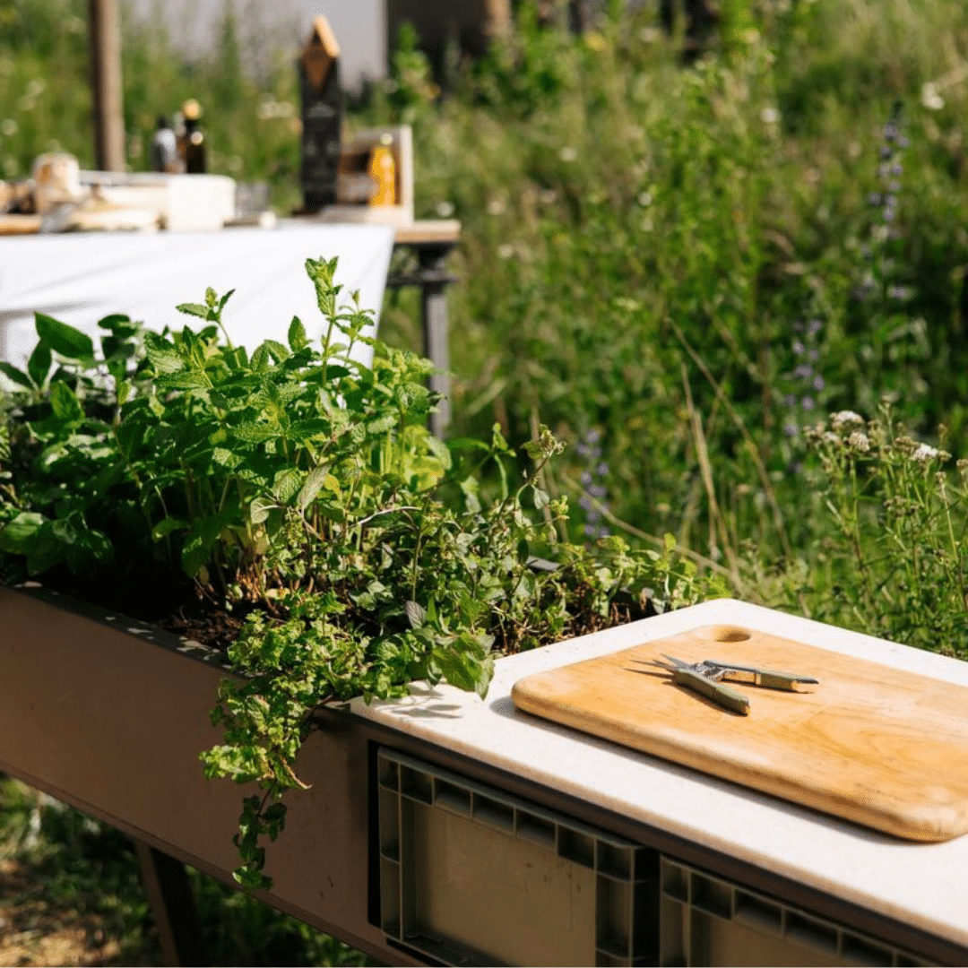 Gepoedercoate aluminium groentafel met plantenbak en solid surface werkblad