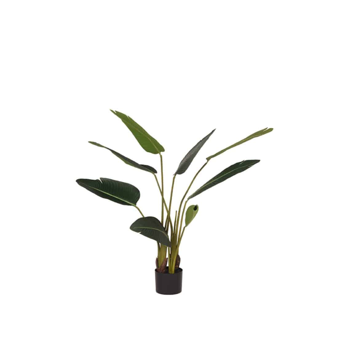 Label51 Strelitzia 8211 Groen 8211 Kunststof 8211 100 Cm