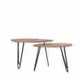 Label51 Salontafel Frisk 8211 Mangohout