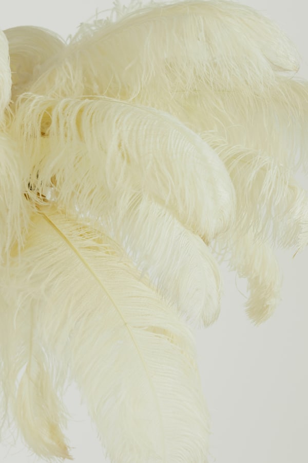 Hanglamp E14 80 Cm Feather Goud Wit