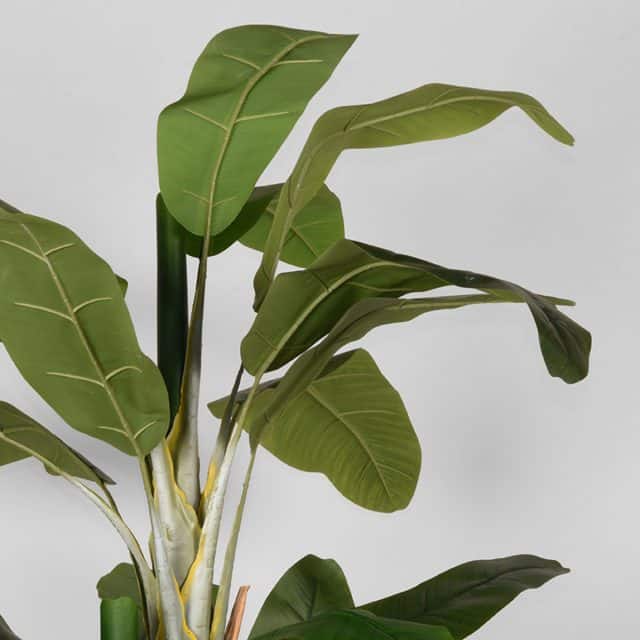 Label51 Musa 8211 Groen 8211 Kunststof 8211 180 Cm