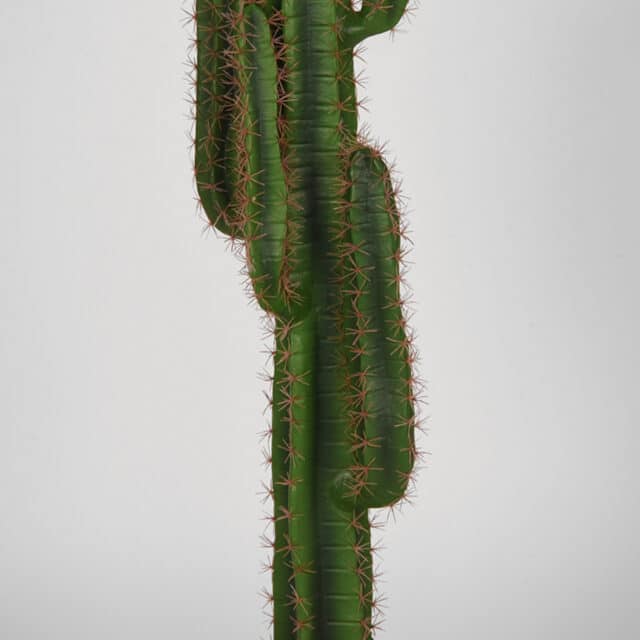 Label51 Cactus 8211 Groen 8211 Kunststof 8211 130 Cm