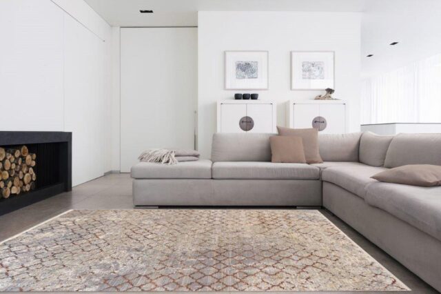 Various Dessin 878 Grey Beige 280 215 380