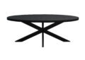 Eetkamertafel Kala Oval Spider 210 cm
