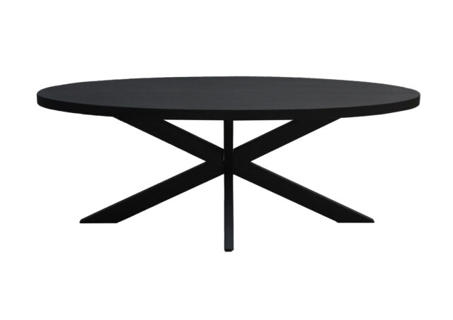 Eetkamertafel Kala Oval Spider 210 Cm